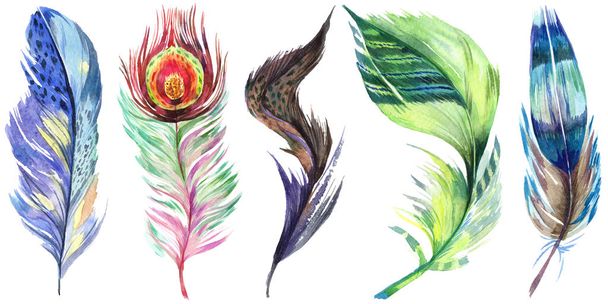 Colorful bird feather from wing isolated. Aquarelle feather for background. Watercolor illustration set. Watercolour drawing fashion aquarelle isolated. Isolated feather illustration element. - Foto, afbeelding