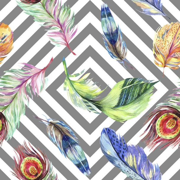 Colorful bird feather from wing. Watercolor background illustration set. Watercolour drawing fashion aquarelle isolated. Seamless background pattern. Fabric wallpaper print texture. - Photo, Image