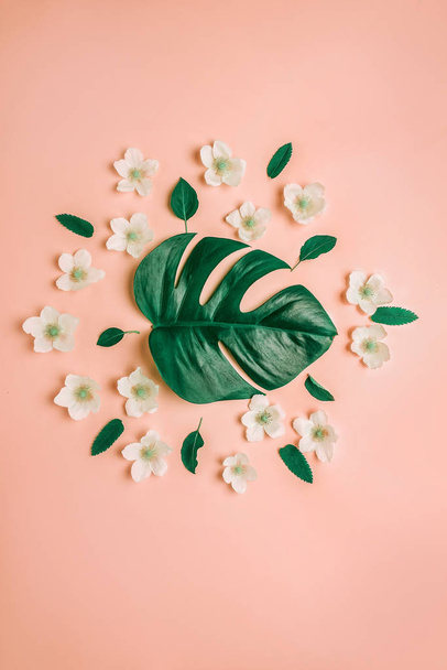 Creative composition for background with Monstera leaf and white flowers On a light coral background. - Photo, Image