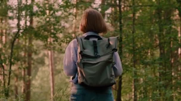 Χαμηλή γωνία ανέμελο νεαρό backpacker θηλυκό περπάτημα και θαυμάζοντας το εκπληκτικό φυσικό τοπίο πίσω όψη - Πλάνα, βίντεο