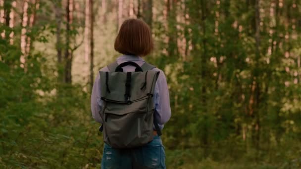 Voltar vista hipster jovem mulher vestindo mochila gostando de caminhar na floresta de verão
 - Filmagem, Vídeo