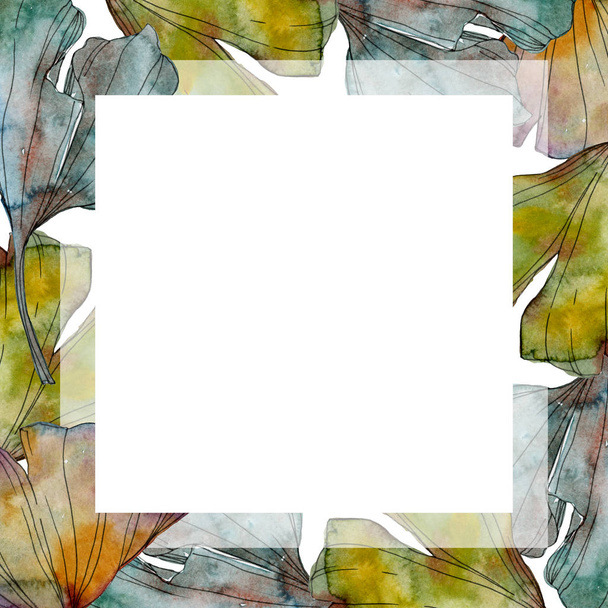 Ginkgo biloba leaf. Leaf plant botanical garden floral foliage. Watercolor background illustration set. Watercolour drawing fashion aquarelle isolated. Frame border ornament square. - Fotografie, Obrázek