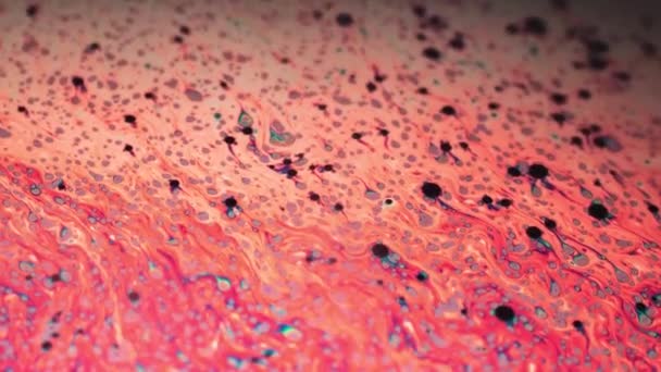 Fantastic motion of coral surface of psychedelic soap bubble - Footage, Video