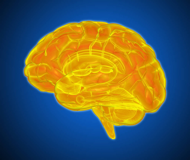 3D pomarańczowy żółty świecące xray mózgu ilustracja na białym tle na ciemnym niebieskim tle z ścieżki przycinającej dla die cut do wykorzystania w dowolnym kontekście - Zdjęcie, obraz