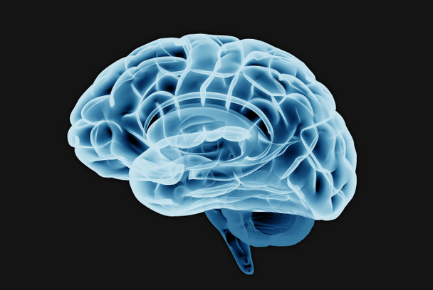 Illustration de cerveau par rayons X 3D ou balayage isolé sur fond sombre avec chemin de coupe pour découper la matrice à utiliser dans n'importe quel contexte
 - Photo, image
