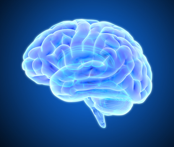 3D μπλε μωβ λαμπερό xray εγκεφάλου εικονογράφηση απομονώνονται σε σκούρο φόντο με διαδρομή αποκοπής για πεθαίνουν αποκοπή για χρήση σε οποιοδήποτε σκηνικό - Φωτογραφία, εικόνα