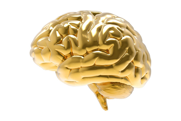 任意の背景で使用するダイカットのクリッピング パスと白い背景に分離された 3 d のゴールデン脳レンダリング図 - 写真・画像
