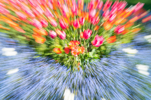 Brilhante floral impressionista abstrato em zoom borrão primavera tempo jardim cor
. - Foto, Imagem