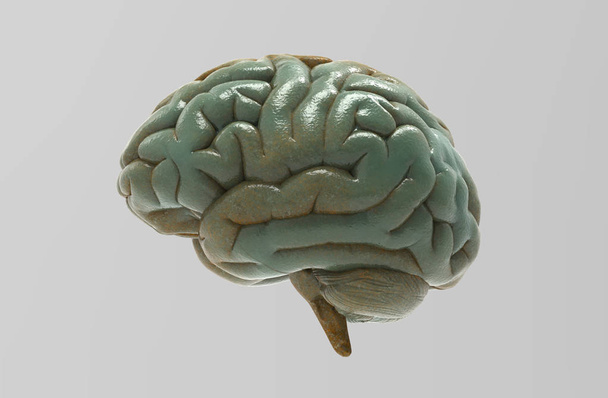 3D rendering groene bronzen menselijk brein geïsoleerd op grijze achtergrond met uitknippad voor gebruik in een achtergrond - Foto, afbeelding