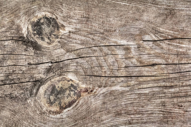 Eski çürümüş yıpranmış düğümlü kaba çam ahşap Grunge yüzey doku detay kırık - Fotoğraf, Görsel