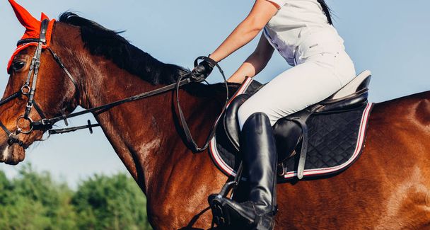 女性騎手はジャンプの競争で馬に乗る. - 写真・画像
