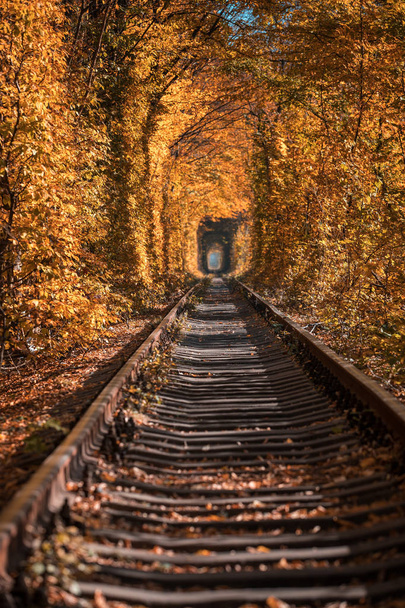 love tunnel in autumn - Φωτογραφία, εικόνα