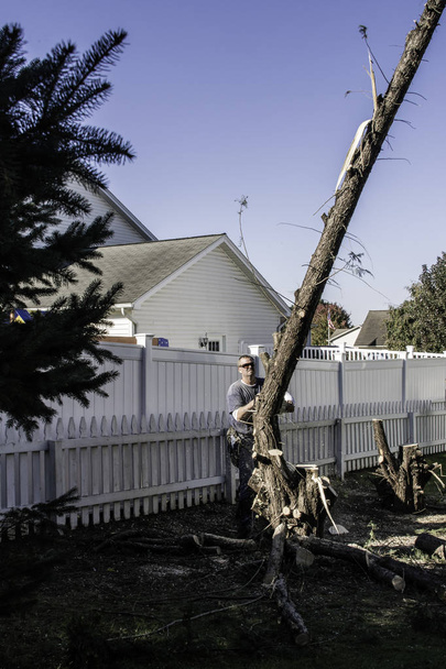 adam beyaz çit yakınındaki chainsaw ile çam ağacı ve düşen ev dikey resim yakalar ağaç kesme güneş gözlüğü takıyor - Fotoğraf, Görsel