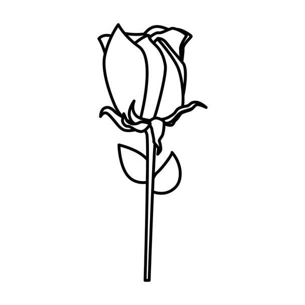 beautiful rose flower decorative icon - Vektor, Bild