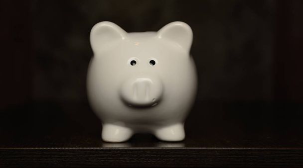ceramic Piggy bank isolated on dark background - Foto, imagen