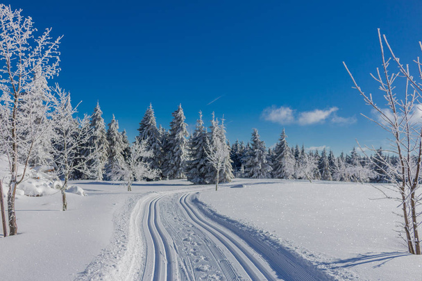 winter magic in the Thuringian Forest with sunshine - Photo, Image