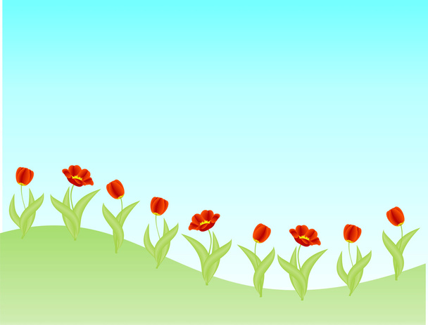 Red tulips - Vetor, Imagem