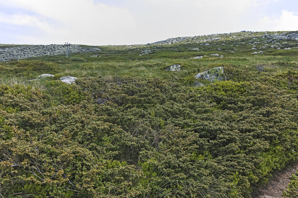 Τοπίο του βουνού Βίτοσα κοντά στη κορυφή της Cherni, πόλη περιοχή Σόφιας, Βουλγαρία - Φωτογραφία, εικόνα