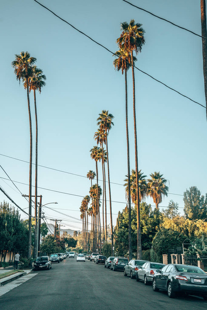 July 15, 2018. Los Angeles, USA. Beautiful sunny day in California with blue sky and high palms down the road in LA near Hollywood sign district. - Foto, imagen