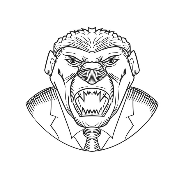 Drawing sketch style illustration head of an angry and aggressive honey badger wearing a coat and tie or business suit viewed from front on isolated white background in black and white. - Vector, Image