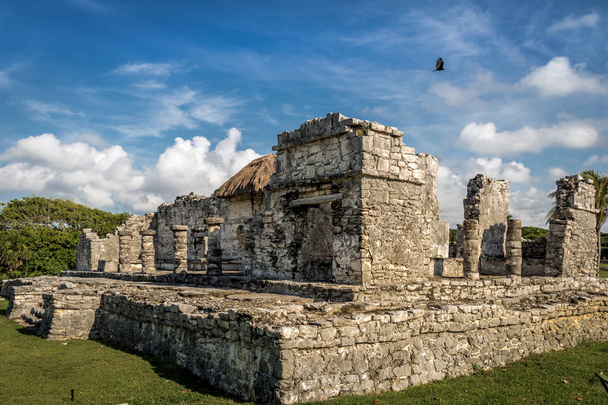 Mayan Palace - Ruins of Tulum, Mexico - Photo, Image