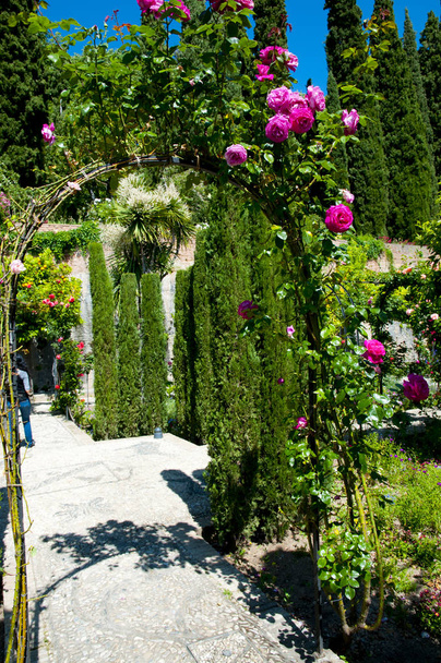 Garden of Generalife - Granada - Spagna
 - Foto, immagini