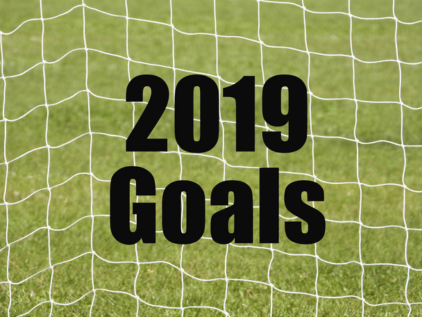 Soccer Goal Net та слова 2019 GOALS на фоні зеленої трави з селективним фокусом та фрагментом врожаю. Концепція бізнесу та мотивації
 - Фото, зображення