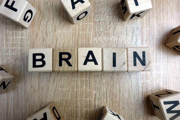 Brain word from wooden blocks on desk - Foto, Bild