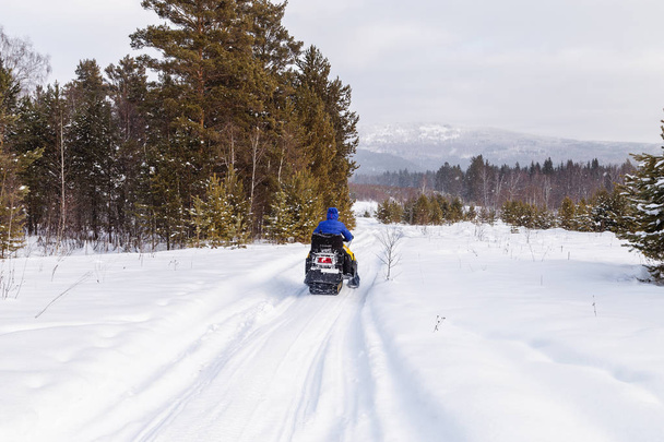 Sportowiec na skuterze śnieżnym poruszający się w zimowym lesie w górach południowych Uralu. - Zdjęcie, obraz