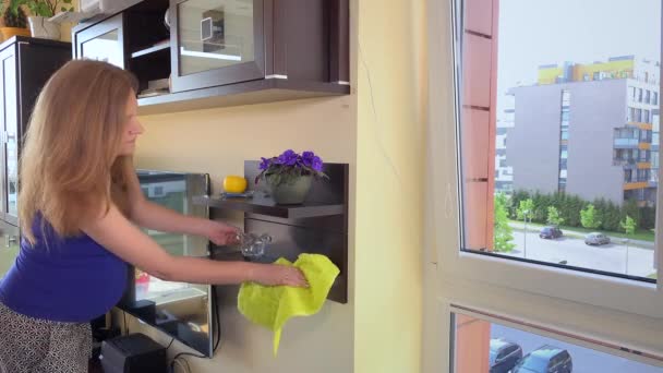 Καθαρό από σκόνη προσεκτική έγκυος γυναίκα στο σαλόνι στο σπίτι - Πλάνα, βίντεο