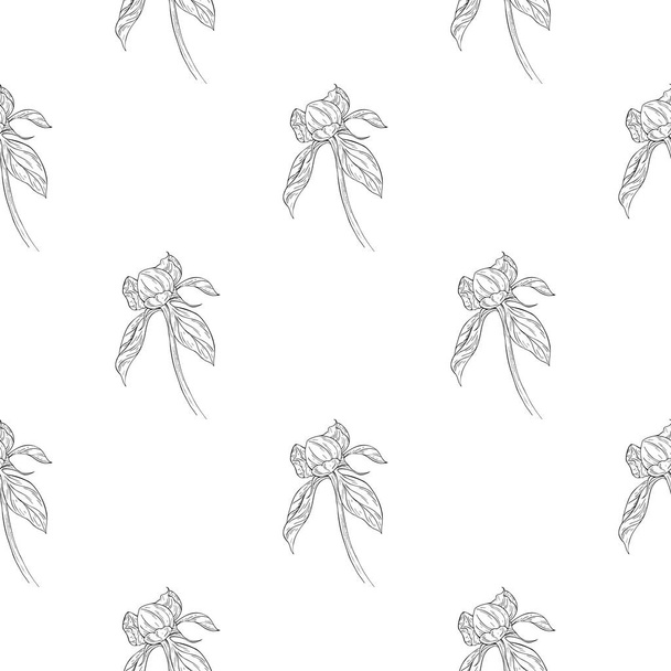 Seamless pattern. Plant in blossom, branch with flower ink sketch. Template for a business card, banner, poster, notebook, invitation, color book - Διάνυσμα, εικόνα