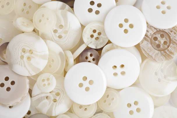 assorted white buttons - Photo, Image