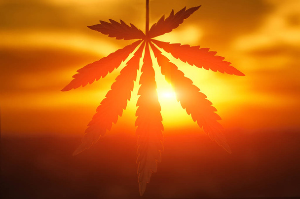 Cannabis or marijuana leaf silhouette in sunlight. Marijuana leaf. Medical cannabis plant. Graphic design element for printables, web, prints, t-shirt. Silhouette of cannabis plant at sunrise - Photo, Image