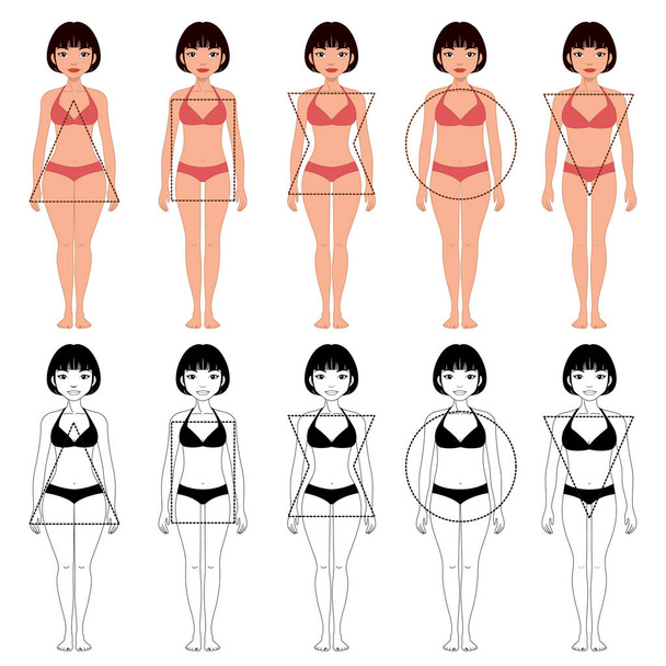 女性の体の形、別の 5 種類のセット - ベクター画像