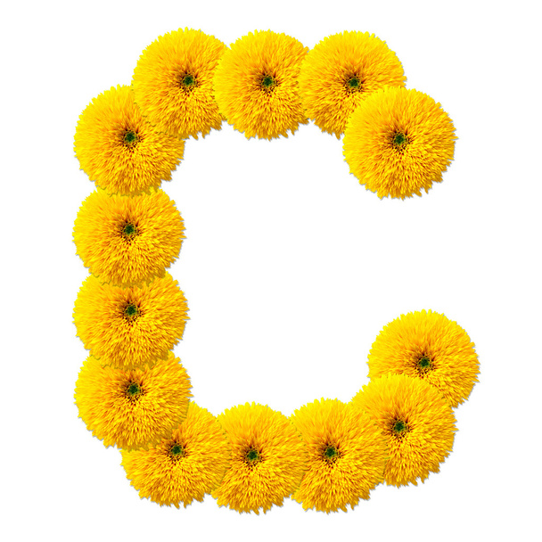 літера абетки квітів
 - Фото, зображення