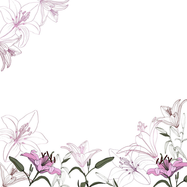 painted lilies on a white background - Vektori, kuva
