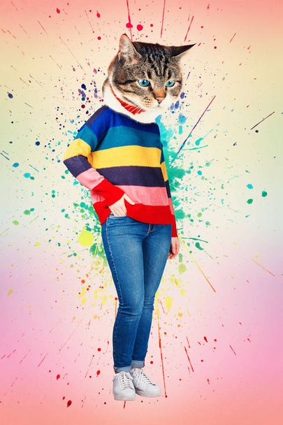 Současné umění koláž Zachycovací portrét příležitostné kotě v čele žena nosit džíny a svetr rainbow pózuje s rukou v kapse. Moderní styl pop-art zine kultury koncepce. Srandovní kočka transformace. - Fotografie, Obrázek