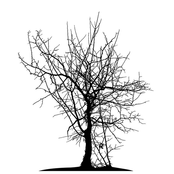 現実的な木のシルエット (ベクトル イラスト). - ベクター画像