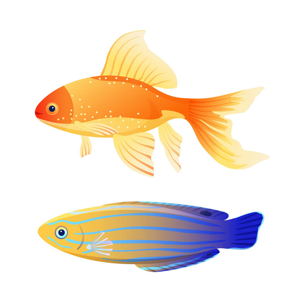 Blue Striped Tamarine and Goldfish Cartoon Poster - Vecteur, image
