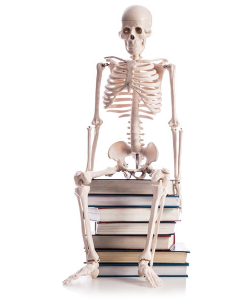 Скелет з книгами ізольовані на білому
 - Фото, зображення