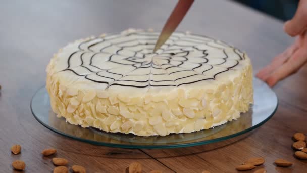 Traditional Hungarian Esterhazy cake. Female hand cutting cake Esterhazy - Footage, Video