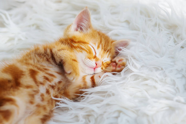 Mignon petit chaton rouge dort sur la fourrure couverture blanche - Photo, image