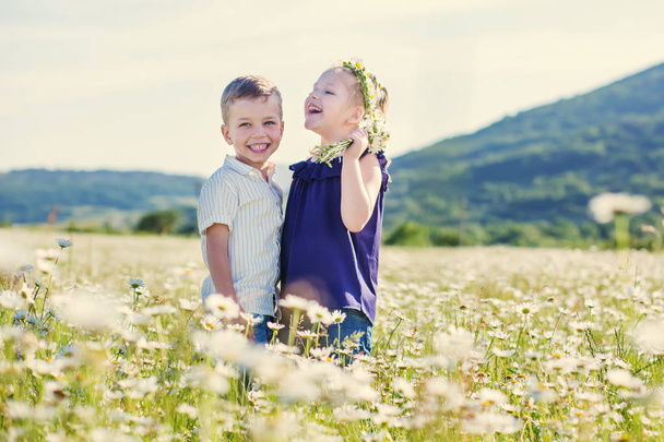 Crianças adoráveis no campo das margaridas
. - Foto, Imagem