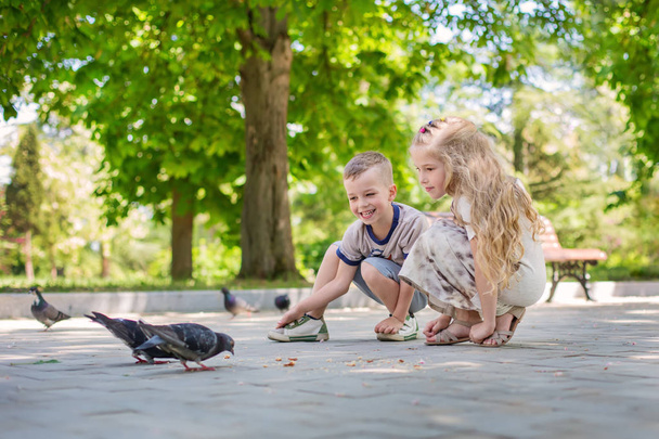 charming happy children feeding pigeons in the park in the summer - Фото, изображение