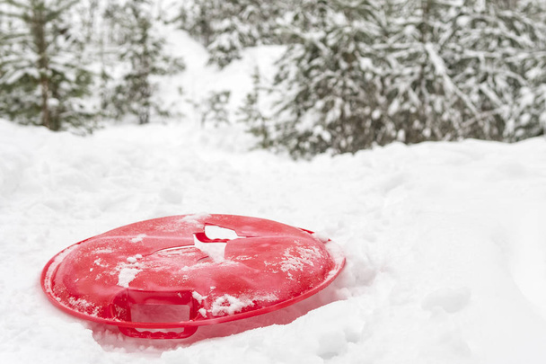 broken red ice-boat on a snow hill in the forest - Fotoğraf, Görsel