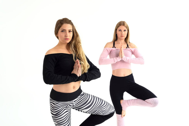 two beautiful young girls are engaged in pilates, doing exercises standing on one leg - 写真・画像