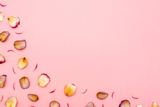Rose petals on pink background. Flat lay. Copy space - Zdjęcie, obraz