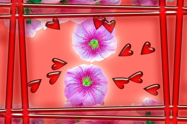 roze liefde - Foto, afbeelding