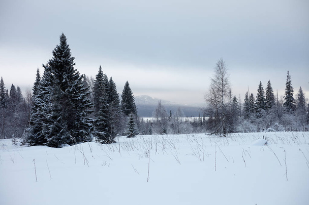 Fairy Winter Forest in Zyuratkul National Park. Winter snowy landscape of Zuratkul Lake - Фото, изображение