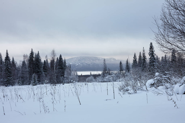 Bosque de invierno de hadas en el Parque Nacional Zyuratkul. Invierno nevado paisaje del lago Zuratkul
 - Foto, Imagen